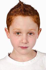 i collect gingers artist anthea pokroy photographs 500 red haired people rote haare haare rot