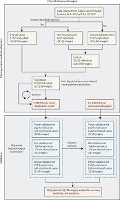 It tends to be more aggressive if you tend to be male versus female. Diagnosis Of Thyroid Cancer Using Deep Convolutional Neural Network Models Applied To Sonographic Images A Retrospective Multicohort Diagnostic Study The Lancet Oncology