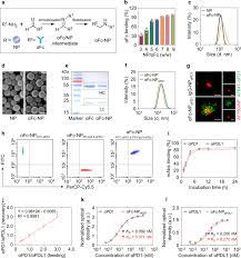 With an ex max of 407nm and em max of 602nm, bd horizon bv605 can be excited by a violet laser and detected. Immunomodulating Nano Adaptors Potentiate Antibody Based Cancer Immunotherapy Nature Communications