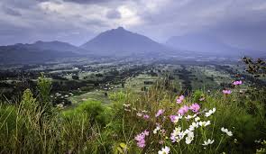 This page is about rwanda landscape,contains rwanda who says adventure can't be luxurious?,scenic photos: Robert Mark Safaris Specialist In Luxury Safari Travel To Africa