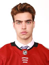 Arizona Coyotes big rookie defenseman Kevin Bahl looking to impress