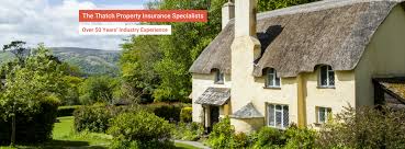 Insurers see this as a high. Thatchline Insurance Home Facebook