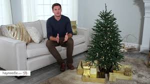 It features simple green color, 81 pine cones and 1335 branch tips design to help emulate a real christmas tree. Finley Home 4 Ft Delicate Pine Slim Pre Lit Christmas Tree Product Review Video Youtube