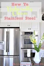 Naturally Clean And Polish Stainless Steel Kitchen Cabinets Kitchen Remodel Kitchen Renovation