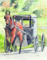 We did not find results for: Amish Horse And Buggy By Morgan Fitzsimons Watercolor Horse Horse Art Horses