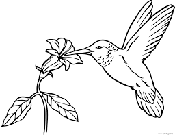 Puis, ils sont partis dans le ciel. Coloriage Oiseau En Vol Nourriture Fleur Dessin Oiseau A Imprimer