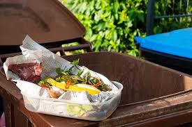 Die Biotonne Im Sommer Wirfuerbio Kein Plastik In Die Biotonne