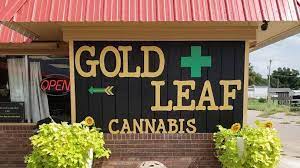 There was a time when growing marijuana and selling it might get you arrested and sentenced to jail but as more. Gold Leaf Cannabis Menu Leafly