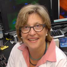 Randi B. Silver, Ph.D.