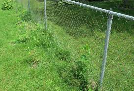 Get tips on landscaping for beauty and functionality with help from a horticulturist and landscape designer in this free video series. How To Trim Your Chain Link Fence Lines Dr S Country Life Blog