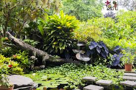 Best Tropical Garden Hotels Hotel Bougainvillea San Jose Costa Rica Tropical Garden Tropical Landscaping Annual Plants