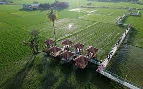 This bed and breakfast provides free private parking and both a bicycle rental service and a car rental service are available at rumah tepi sawah, while cycling can be enjoyed nearby. Wisata Sawah Di Gorontalo Menjadi Tambahan Ekonomi Penduduk Setempat Bisnis Com