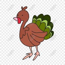 So that's why we're currently called them ayam belanda (dutch's chicken). Kartun Kalkun Kesyukuran Turkey Ayam Belanda Comel Gambar Unduh Gratis Imej 611528890 Format Psd My Lovepik Com