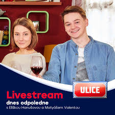 V současné době studuje na damu herectví na katedře alternativního a loutkového divadla pod vedením dvojice. Ulice Predstavitele Bary Klimove A Franty Hrubeho Eliska Facebook