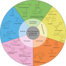 Maybe you would like to learn more about one of these? The Structure And Function Of Major Plant Metabolite Modifications Sciencedirect