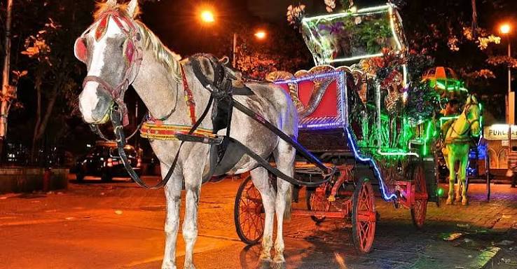 A Look at Mumbai's Iconic Horse Carriage Journey Till its End