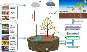 Sloan was born in anderson, south carolina on march 4, 1960. Uranium U Source Speciation Uptake Toxicity And Bioremediation Strategies In Soil Plant System A Review Sciencedirect