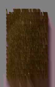 Pioneer history of Indiana : including stories, incidents, and customs of  the early settlers