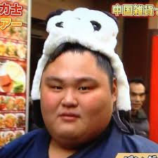 He turned professional in july 2006 and was the first wrestler born in the heisei era to become a sekitori when he was promoted to. 2015å¹´1æœˆå ´æ‰€ç•ªä»˜ç·¨æˆä¼šè­°åä¸¡æ˜‡é€²åŠ›å£«æ±ºå®š å¥³å­ã ã'ã©å¤§ç›¸æ'²å¤§å¥½ã