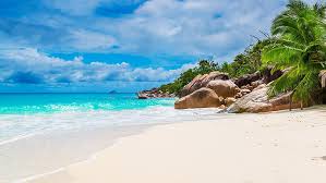 1920x1080 full hd 1080p images hd nature. Beach 1080p 2k 4k 5k Hd Wallpapers Free Download Wallpaper Flare