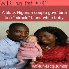 Wtf Fun Facts Funny And Weird Facts Wtf Fun Facts Funny Wtf Fun Facts Fun Facts