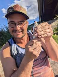 What kind of fish is this, white perch or river chub?