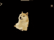 The best gifs are on giphy. Doge Meme Gifs Tenor