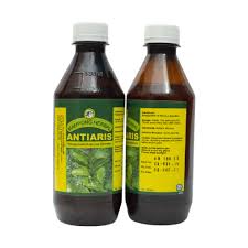 Image result for Antiaris