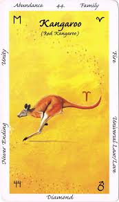 The Medicine Wisdom Of Kangaroo Is Abundance And Family The Kangaroo Or Great Foot Has An Abundance Of Speed Making Hi Oracle Cards Animal Tarot Tarot Decks