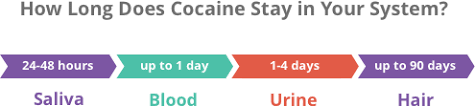 It can remain in the body even longer if someone uses the drug regularly or consumes large amounts of cocaine. How Long Does Cocaine Stay In Your System Blood Urine