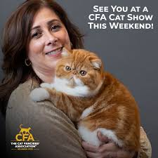 If you like cats, then you'll love a CFA cat show! 🇺🇸𝗨𝗡𝗜𝗧𝗘𝗗  𝗦𝗧𝗔𝗧𝗘𝗦 NOV 30-DEC 1, 2024 Cincinnati Cat Club 𝗛𝗮𝗺𝗶𝗹𝘁𝗼𝗻, 𝗢𝗛  🛩𝗘𝗨𝗥𝗢𝗣𝗘 NOV 30-DEC 1, 2024 Edelweiss Cat Club 𝗠𝗼𝘀𝗰𝗼𝘄,  𝗥𝘂𝘀𝘀𝗶𝗮