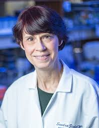 Sandra Zinkel, M.D./Ph.D.