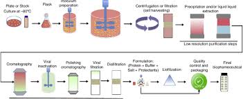 the biopharmaceutical manufacturing technology flowchart