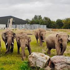 心ときめく出会い-布莱克浦動物園