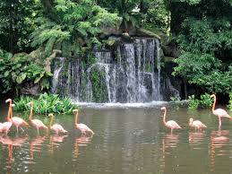 Wer sich für vögel interessiert der kommt in singapur jurong bird park nicht herum. Jurong Bird Park Aviary Singapore Britannica