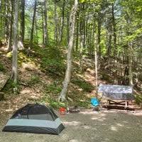 In addition to the old growth, mohawk trail state forest contains the tallest trees in new england, a section of the original mohawk indian trail, and other historic, cultural, and ecological features. Mohawk Trail State Forest Forest In Charlemont