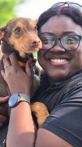 Adopting a pet can be a rewarding experience