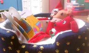 Reading Bedtime Stories To His Friends Christmas Elf Olive The Other Reindeer Bedtime Stories