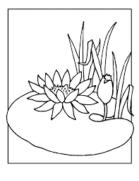 Lily pads printable coloring page, free to download and print. Lily Pads Coloring Pages Coloring Home