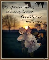 One fine day in the month of june i peddled my cycle to the tropic lagoon i embedded my feet in the pearl, white sand when out of the water rose a shimmering hand. Every Picture Tells A Story Susan Gale Quotes Facebook