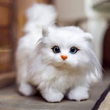 Pin On Wish List