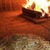 Uns hat es jedenfalls ganz hervorragend. Restaurant Pizza1ade Pizza Garten Hannover In Hannover