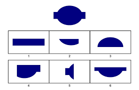 Child views completed puzzle and selects three response options that combine to reconstruct the puzzle. Wisc Test Sample Questions For 13 Year Olds Testingmom Com