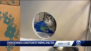 Pet stores, aquarium services, pet adoption. Adoption Fees Waived Because Of Overcrowding At Santa Fe Animal Shelter