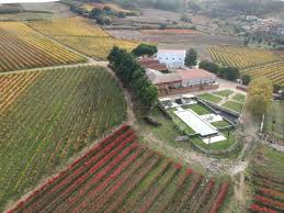 By the spring of 1811 they. Weinprobe Von Weinen Aus Der Region Torres Vedras Lisboa Autentica