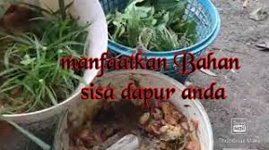 Baguslah buat baja organik, boleh suburkan tanaman, bebas bahan kimia. Hobiku Cara Membuat Baja Organik Cute766