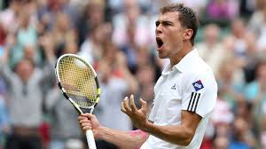 Wimbledon 2013: Andy Murray faces potential Jerzy Janowicz semi