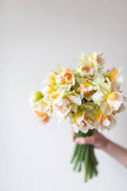 Pin On Flower
