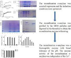 Secretion Of The Recombination A Amylase In Escherichia Coli And Purification By The Gram Positive Enhancer Matrix Gem Particles Sciencedirect