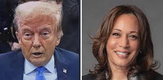 Donald Trump's Insecurity and Fear of a Box